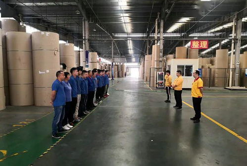 花園建材榮膺東陽市中小企業(yè)市長科技創(chuàng)新獎，引領行業(yè)綠色轉(zhuǎn)型新篇章